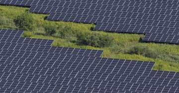 釧路湿原を破壊すると得？批判と規制を強めても「メガソーラー建設」が絶対に減らないワケ