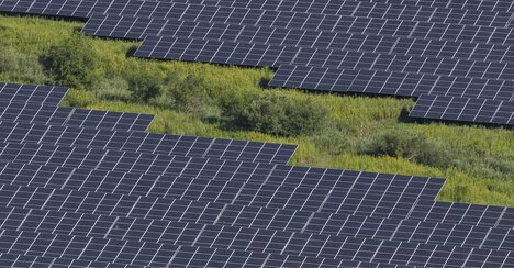 釧路湿原を破壊すると得？批判と規制を強めても「メガソーラー建設」が絶対に減らないワケ