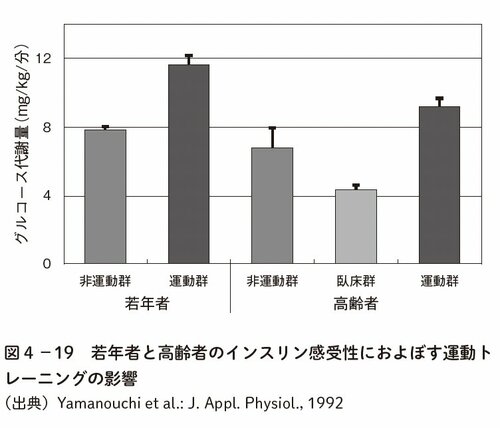 図表4:若年者と高齢者のインスリン感受性におよぼす運動トレーニングの影響