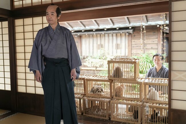 めちゃ高いけど…元取れるの？「小学校に100年通える」600円の高額ウサギで一獲千金ねらう父〈ばけばけ第3回〉