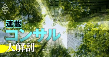 ビッグ4や戦略系が「サステナ」部門を相次ぎ設立!新潮流で変わるコンサル各社の戦略・採用を大展望