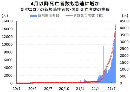 図：新型コロナの新規陽性者数・累計死亡者数の推移