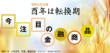 長期の積立投資では値下がりもリスクに非ず値動きのブレをいかに小さくするか