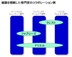 自主参加のＳＮＳでは不十分？Ｐ＆Ｇイノベーションネットの問題解決力