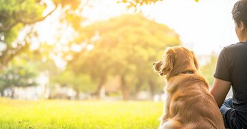 「愛犬との絆」は飼い主の思い込みではなかった!心拍と脳波で解明された犬と人との感情の“シンクロ”