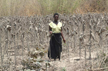 中国鉱山企業がアフリカで環境汚染、被害者に圧力