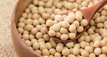 大豆食品が、膵臓がんのリスクを高める?