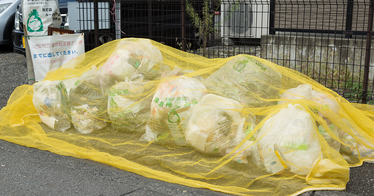 食べものを本当に棄てているのは企業か消費者か