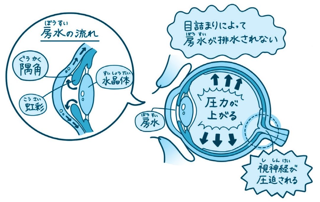 眼球のイラスト2
