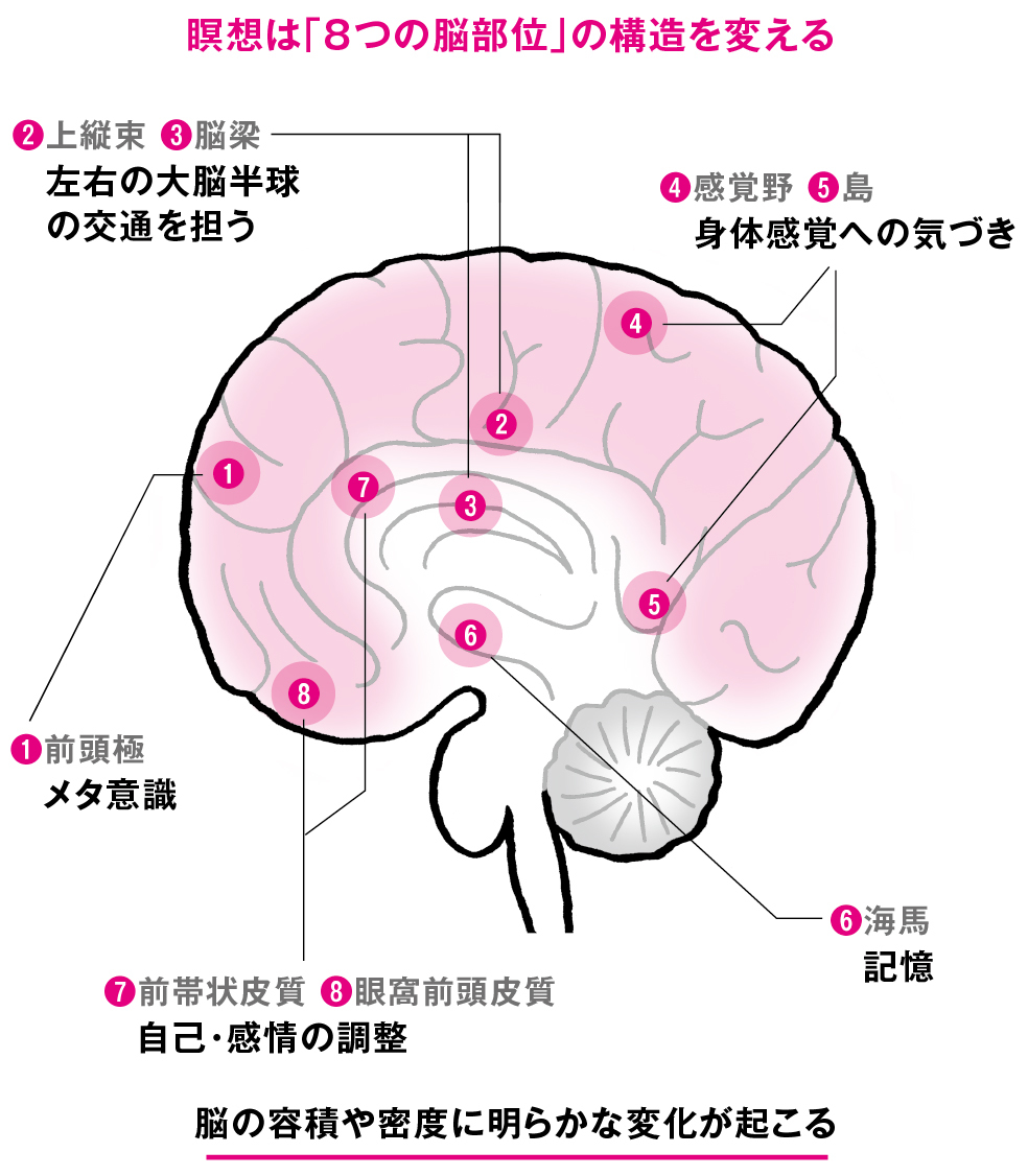 記憶 感情調整 メタ認知 8つの脳部位を変える習慣 脳疲労が消える最高の休息法 ダイヤモンド オンライン