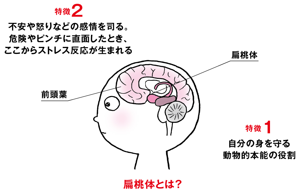 疲れそのもの ではなく 疲れた感じ を解消するには 脳疲労が消える最高の休息法 ダイヤモンド オンライン