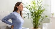 【『世界一受けたい授業』で話題】つらい腰痛持ちの人は絶対やってみて！フィジカルトレーナー・中野ジェームズ修一が教える慢性的な腰痛を予防・解消する方法