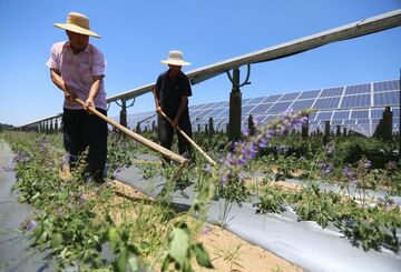 中国で太陽光施設が急増、農地を侵食