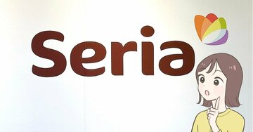 「え、本当にセリアの商品だよね…？」こんなに収納力のある“ふっくらポーチ”が110円で買えるのはスゴイ！