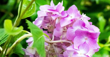 成果を出し続ける組織の「見えない共通点」【書籍オンライン編集部セレクション】