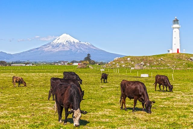 周囲には牧場が広がり、どこからでもタラナキ山を一望できる