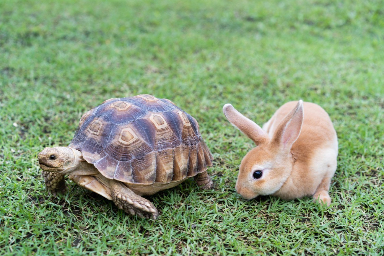 【衝撃！】部長の年収はタイに負け、昇進は中国より10年遅い、トホホなアジアの先進国とは？