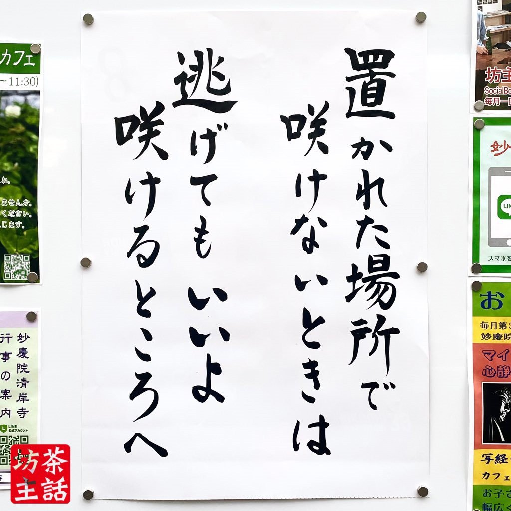 【お寺の掲示板90】置かれた場所で咲けないときは