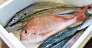 コロナ支援「お取り寄せ魚介類」を選ぶ3つのポイント、粗悪品に騙されるな！