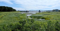 故郷・青森にUターンして郷土愛が爆発！30代女性が一から作った「住民の拠点」とは