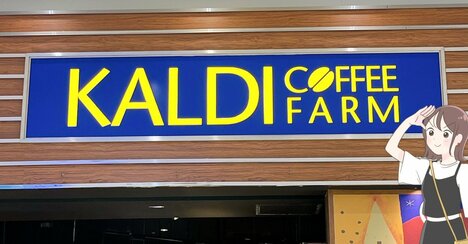 牛乳がタテにすっぽり入る…！カルディの「ペタンコになる保冷バッグ」オシャレなのに軽くて使いやすい！