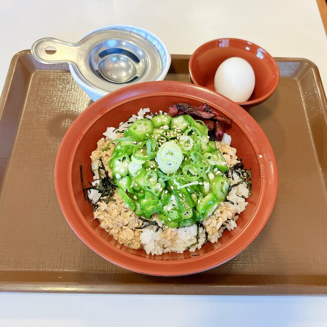 「すき家ならこれ一択」「ハマりすぎてる」600円の“やみつきどんぶり”ウマすぎてあっという間に完食した！