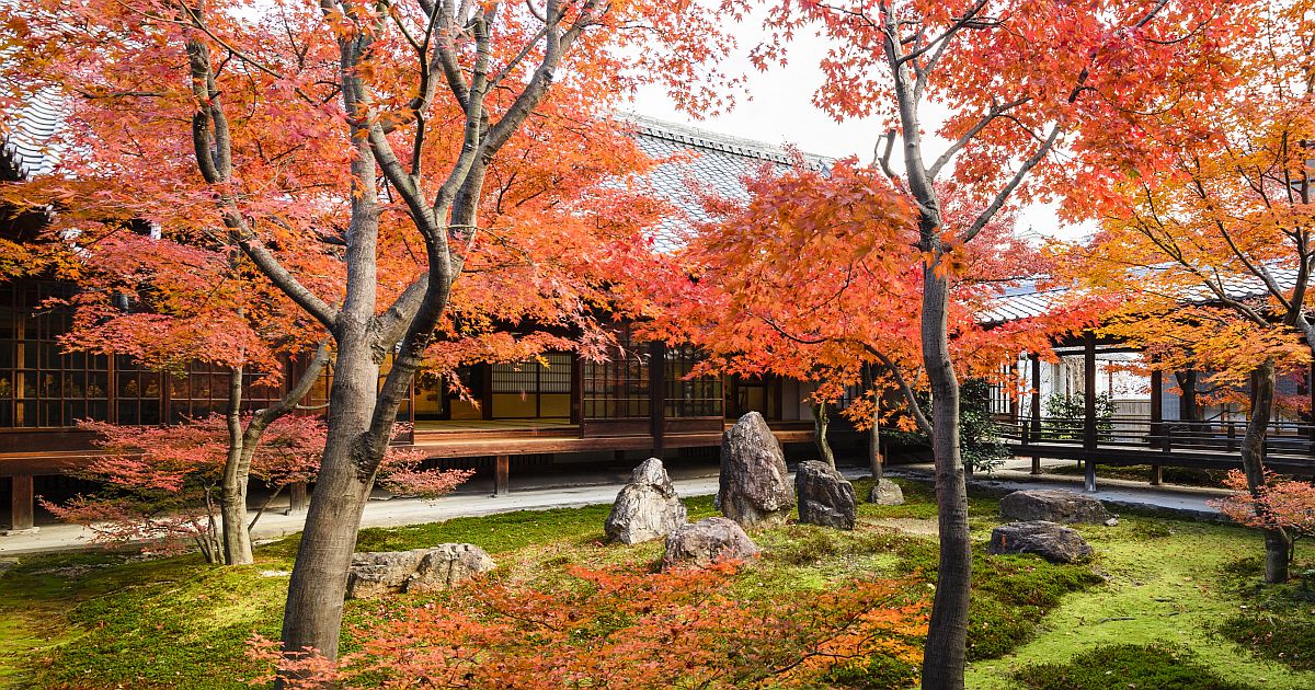 京都の古刹で、いにしえ人が酔いしれた極上の「紅葉体験」を！建仁寺、東福寺、世界遺産の平等院…【写真付き】