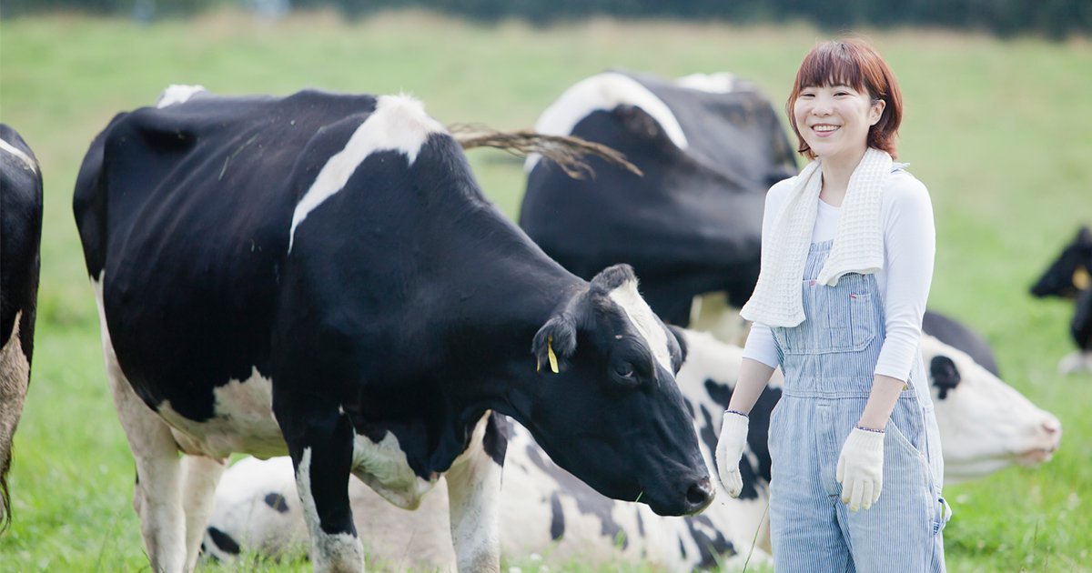 牧場の牛と女性