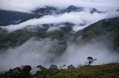 「麻薬潜水艇」で密輸拡大、急増するコカイン取引