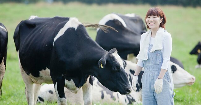 牧場の牛と女性