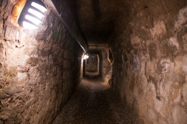 パリの「地下墓地」に観光客行列、600万体の遺骨が納まる迷宮に戦慄【写真付き】