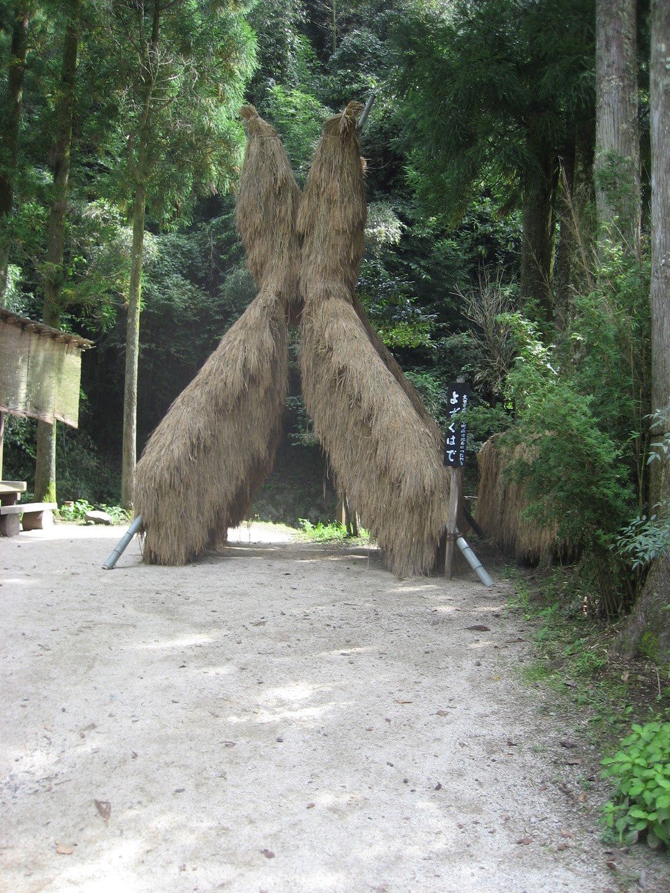 この地方では、稲刈り後の稲束を、フクロウに似た独特の姿に組んで干す。強風でも倒れにくいという。「銀の道」の秋の風物詩