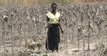 中国鉱山企業がアフリカで環境汚染、被害者に圧力