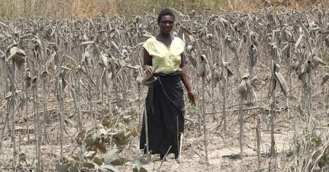 中国鉱山企業がアフリカで環境汚染、被害者に圧力