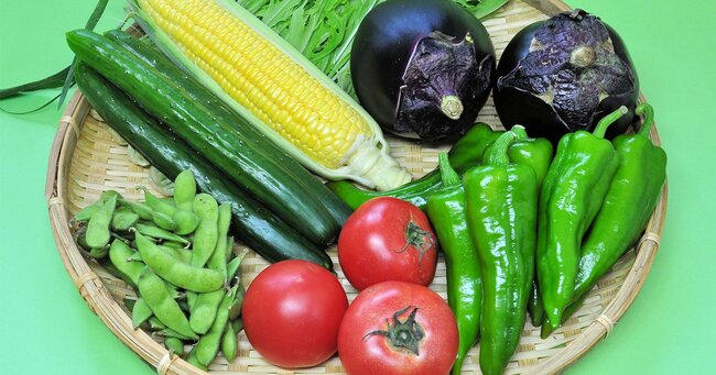 写真:夏の京野菜