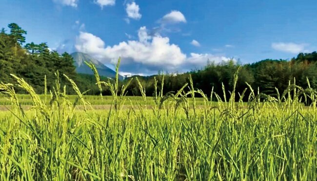 新日本酒紀行「民族の酒カルシス」