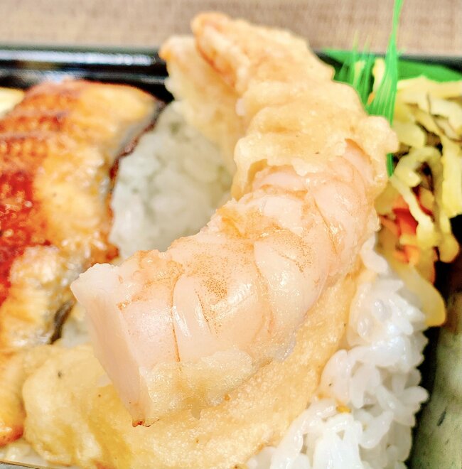 白米が爆速で消えていく…！ほっともっとの“よくばり限定弁当”おかず2種盛りで豪華すぎる！【実食レビュー】