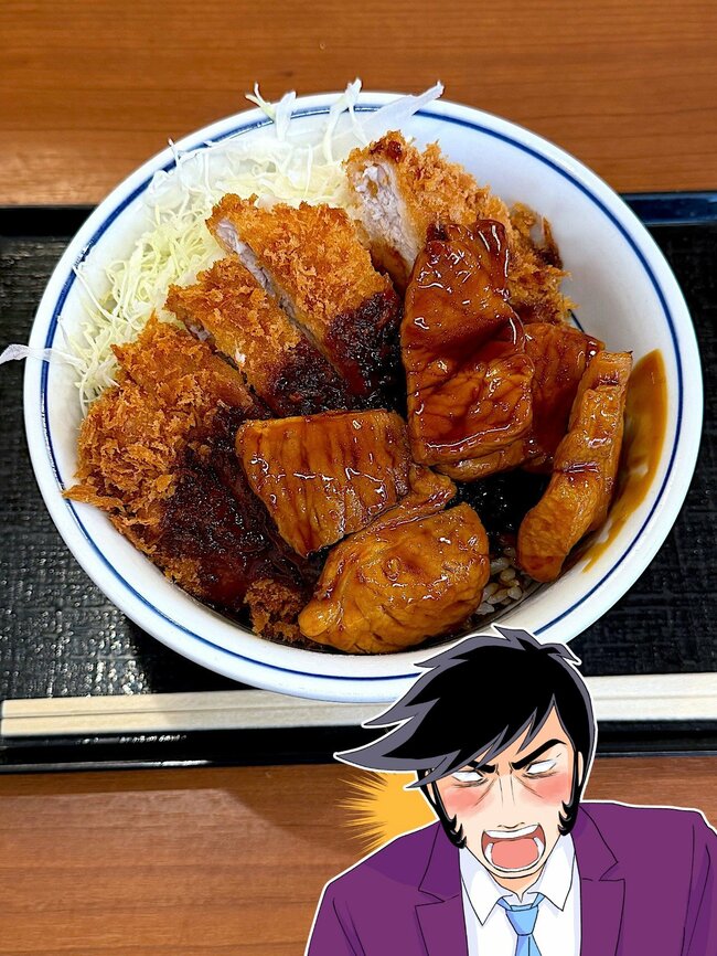 こりゃ通いつめたくなるわ!かつやの“豪快どんぶり”お肉2種盛で白米が止まらない!「ヘビーだった」「ウマすぎんだろ!」《実食レビュー》