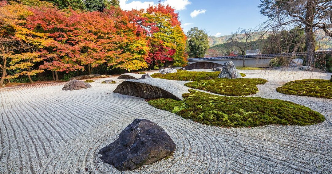 人間が本能的に持っている 美 への探究心が 社会にもたらしたものとは 日本の美意識で世界初に挑む ダイヤモンド オンライン