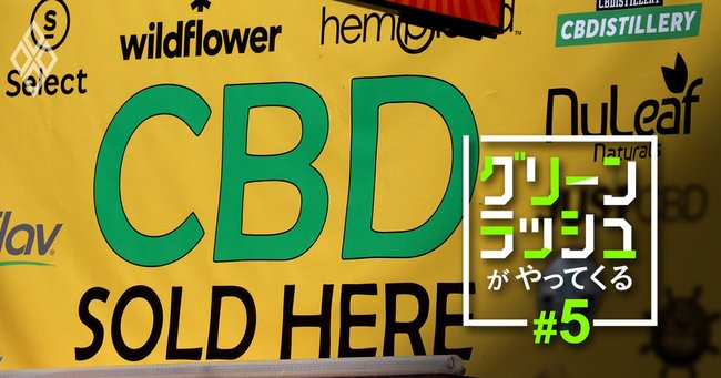 「大麻特需」がやってくる！新たな金脈を前に日本はどうする？