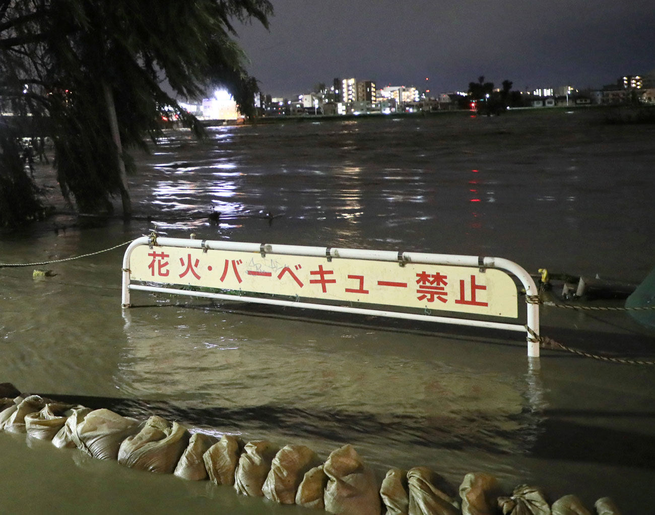 増水した多摩川