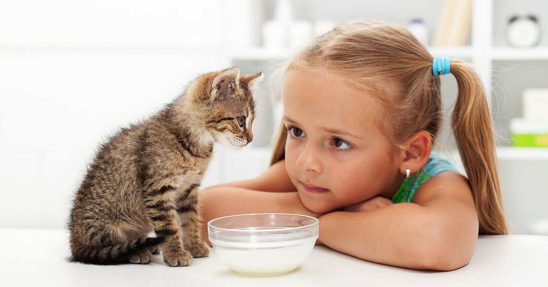 「ペット飼いたい!」親子納得で飼える4大コツ