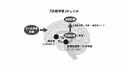 【脳科学の新常識】外向型の人はなぜ「ポジティブ思考」になりやすいのか？