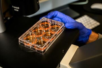 米バイオ企業の私募増資、「インサイダー」批判も