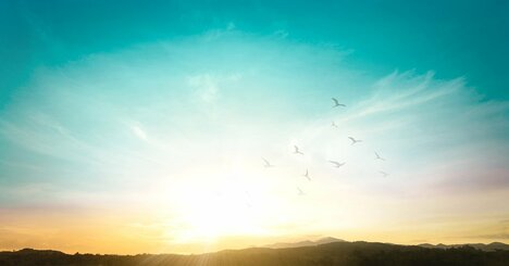 【神様が味方する人の生き方】「13本顔」に変われば、多くの友人が支えてくれる