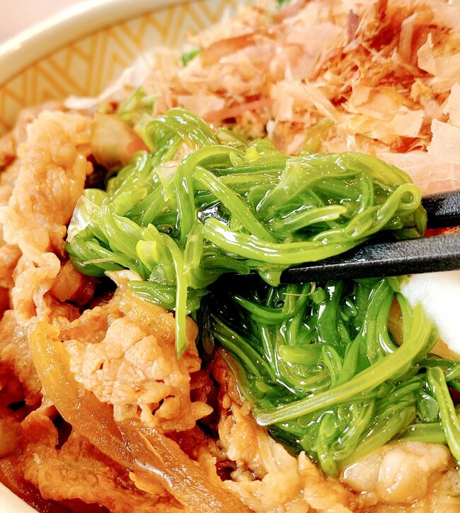 「この世で一番うまい食いもん」「年中売ってほしい」すき家の“豪快どんぶり”具材たっぷりで贅沢すぎる!「カオスな感じが嬉しい」