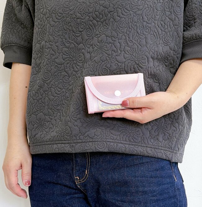カードや診察券が30枚も入った…！セリアの「ミニチュアみたいなファイル」がミニ財布代わりになって天才！【購入レビュー】