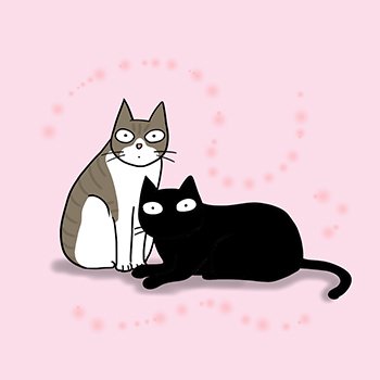 うちの猫たちと同じだ!<br />国が違っても、ブレることのない猫に嬉しくなる