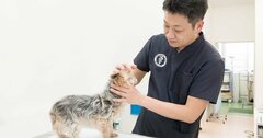 進化する動物病院――飼い主とペットにとって本当によい動物病院とは