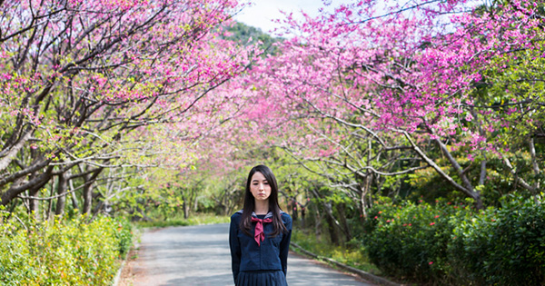 バブル世代の大学時代とは様変わり！イマドキの大学生と大学受験　傾向と対策2019